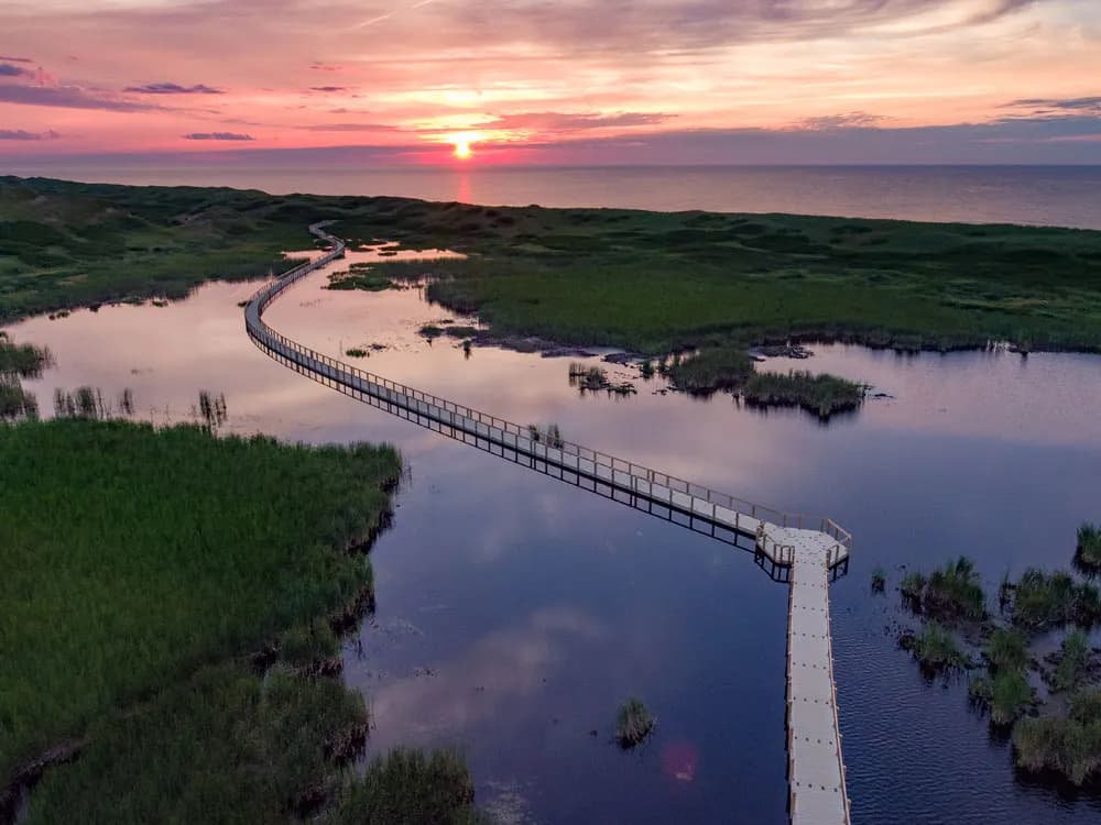 Aerial view of a floating dock walkway curving across shallow, calm water at sunset